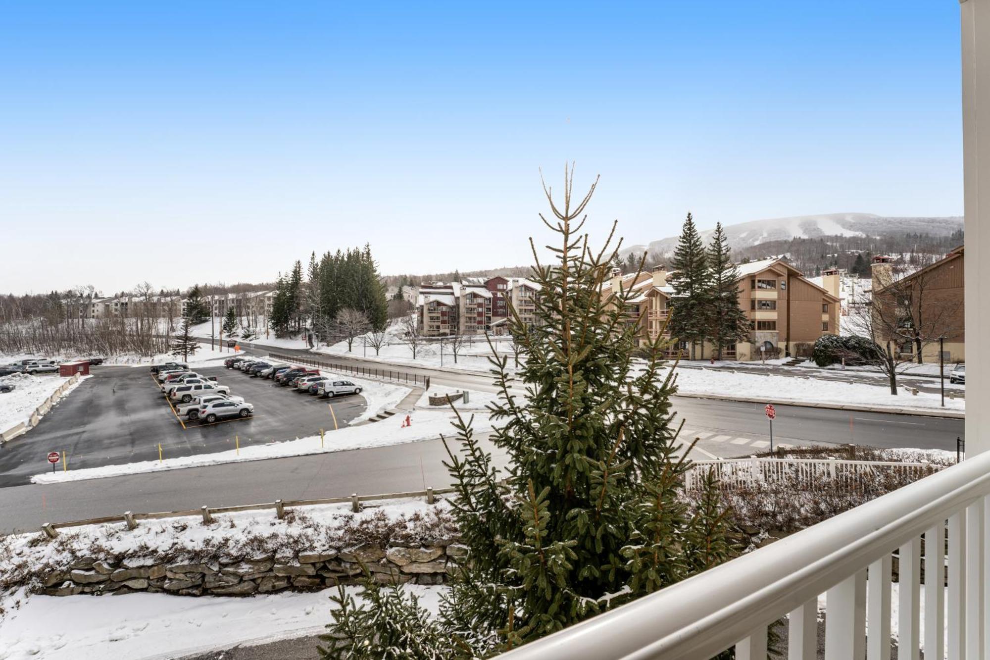 Long Trail House Condos Stratton Room photo